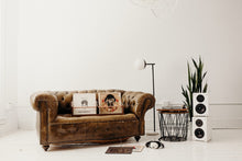 Load image into Gallery viewer, double record rack