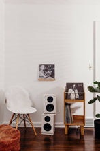 Load image into Gallery viewer, custom record ledge