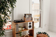 Load image into Gallery viewer, record console