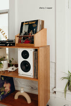 Load image into Gallery viewer, record rack
